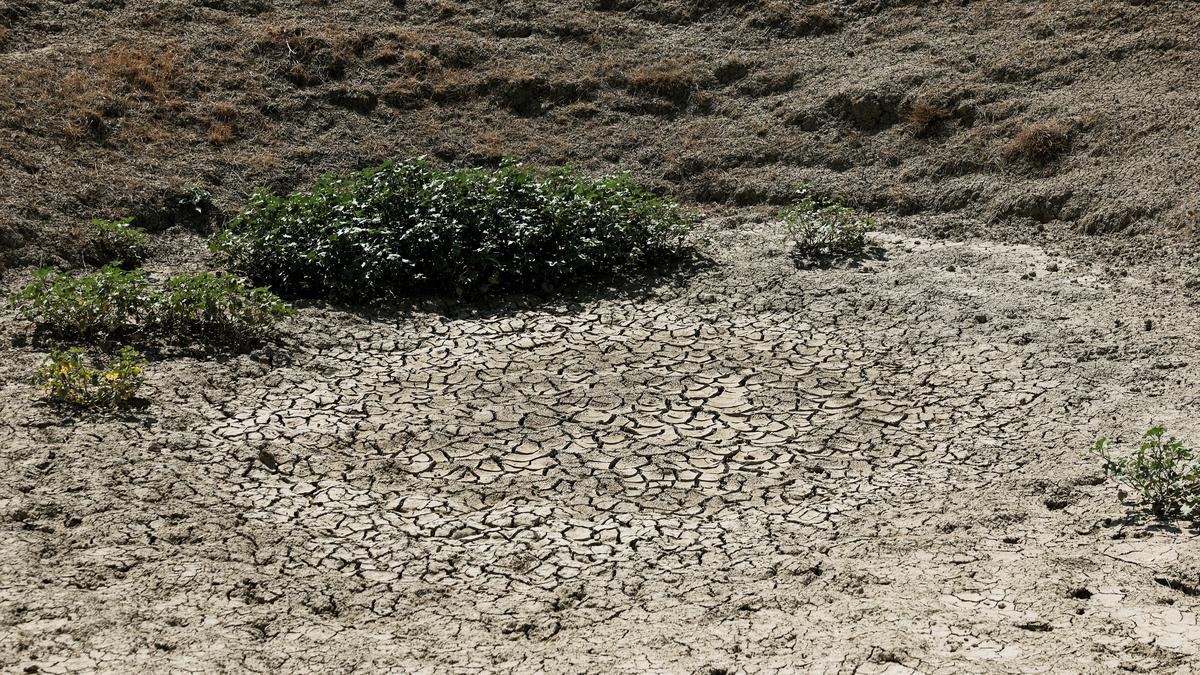 लेखा परीक्षकों का कहना है कि यूरोपीय संघ संभवतः हरित व्यय को बढ़ा-चढ़ाकर बता रहा है