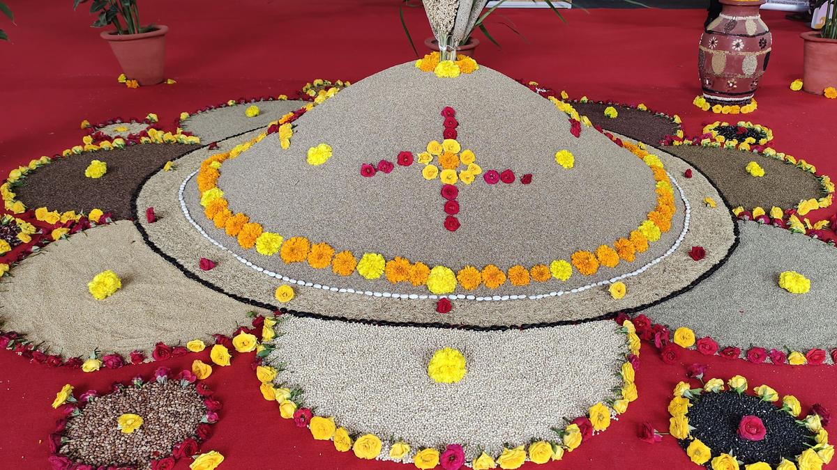 ‘Millet Showcase’ opens at CSIR-CFTRI 