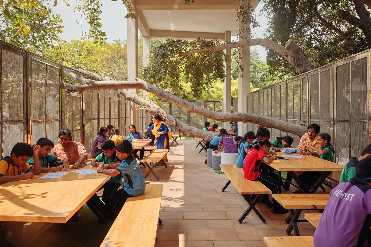 The open-air canteen doubles as a classroom, with preserved banyan tree branches woven into its space.