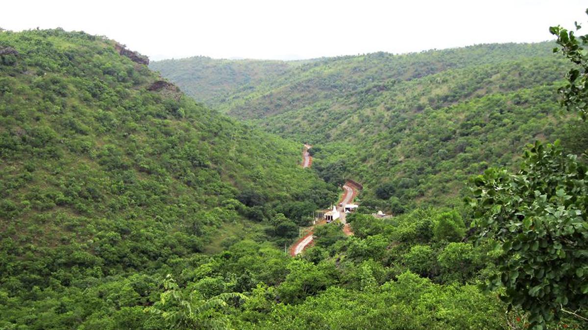 Karnataka High Court directs inclusion of left-out 55 sq. km reserve forest area to Kappatagudda Wildlife Sanctuary