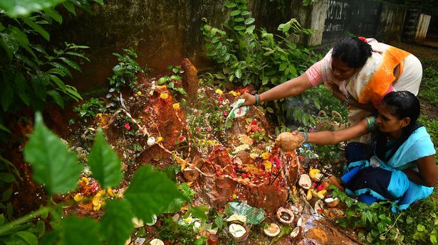 Four snakes rescued on Naga Panchami