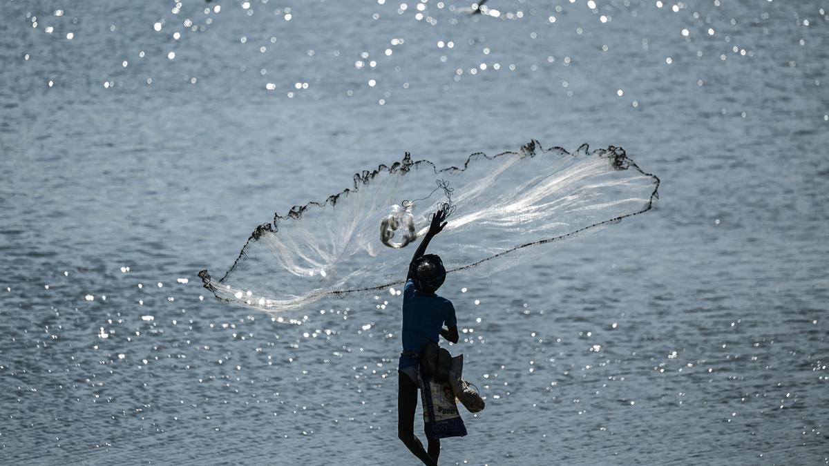 India making waves as WTO tries to net fishing deal