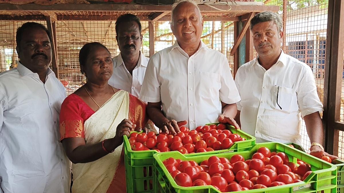 Gujarat corporates behind skyrocketing tomato prices, alleges Chinta Mohan
