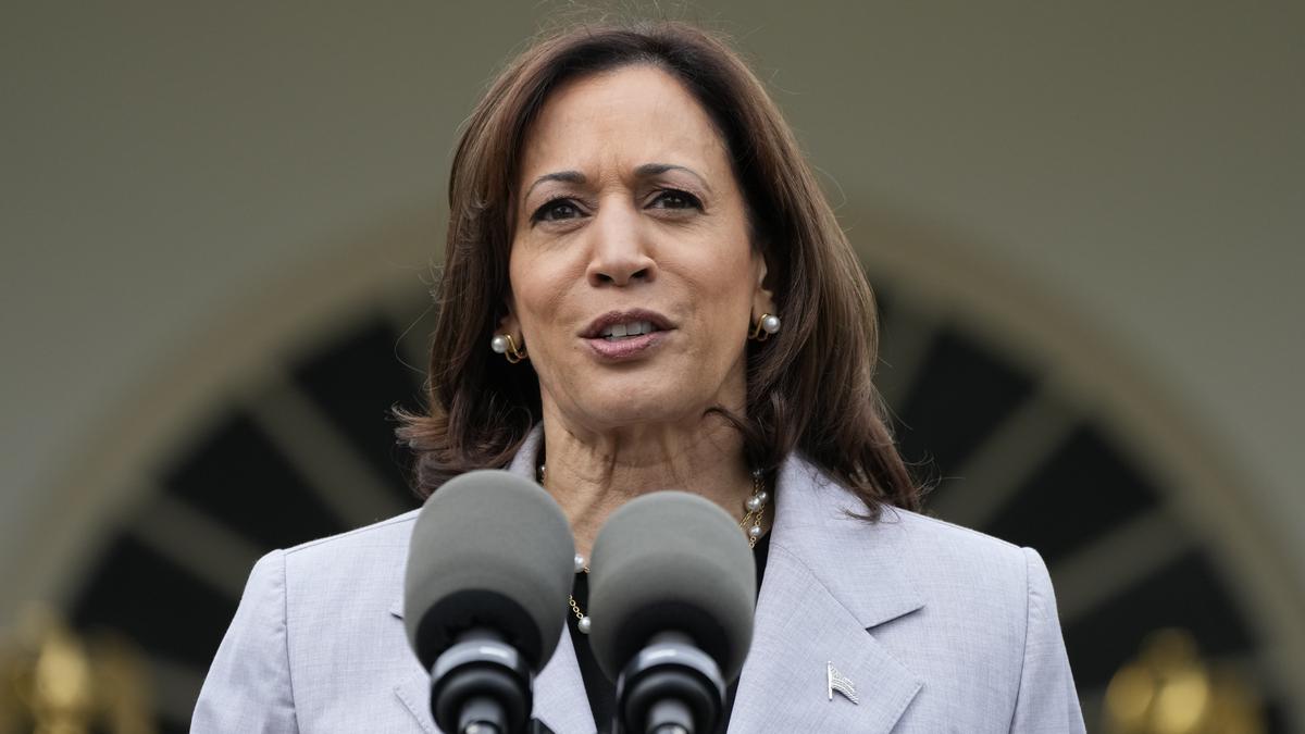 Kamala Harris tasked with new role fighting U.S. gun violence - The Hindu