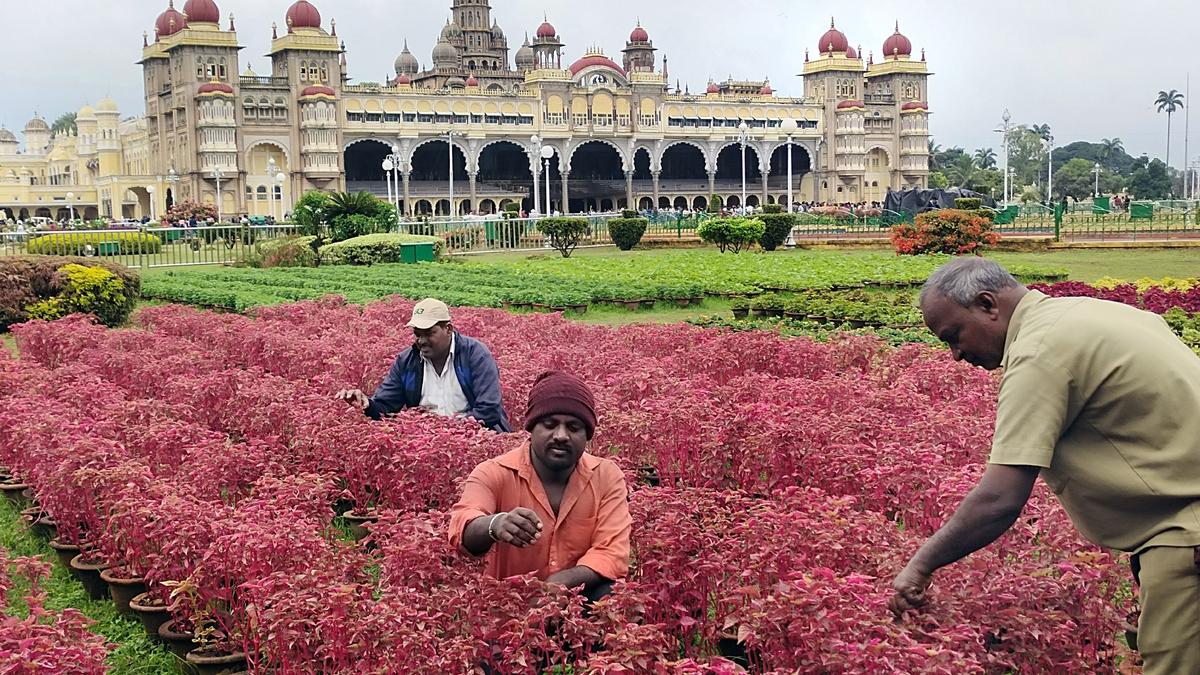 Grand replica of Akshardham temple at Mysuru Palace flower show