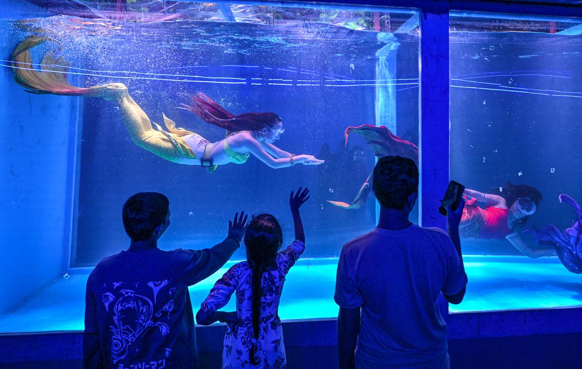 Mermaids at the aquarium on the Beach Road in Visakhapatnam. 