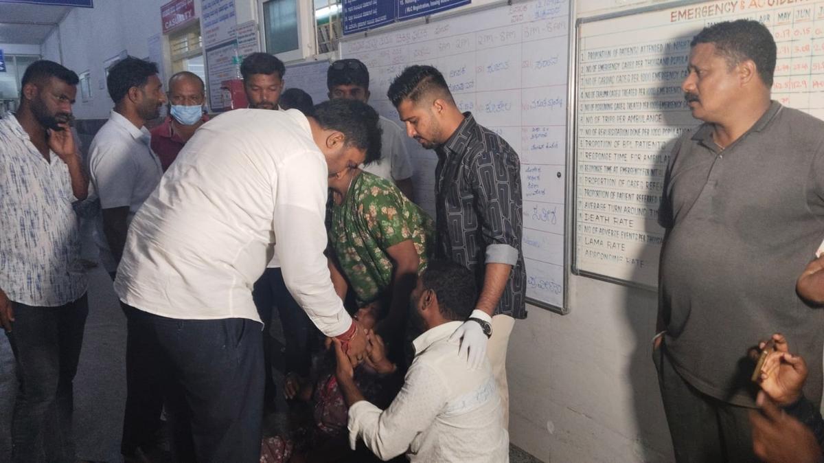 Goods vehicle ploughs into crowd during Ganesha procession in Hassan; eight  dead - The Hindu