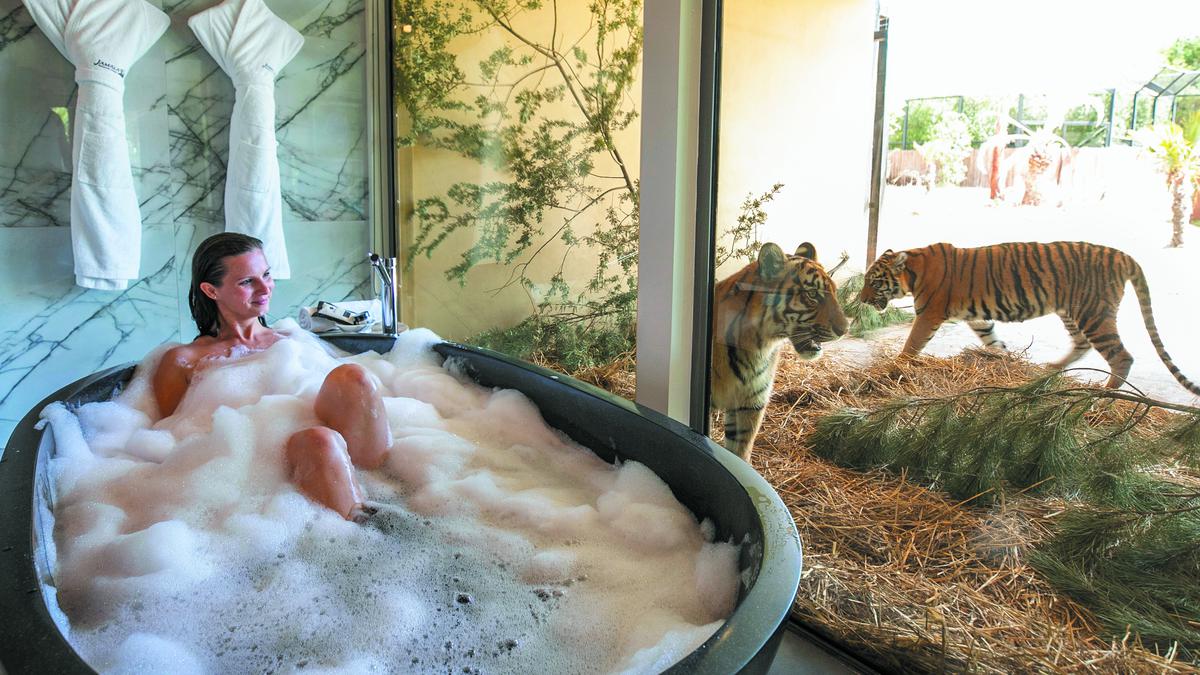 Sleep and dine alongside wild animals at Jamala Wildlife Lodge in Canberra