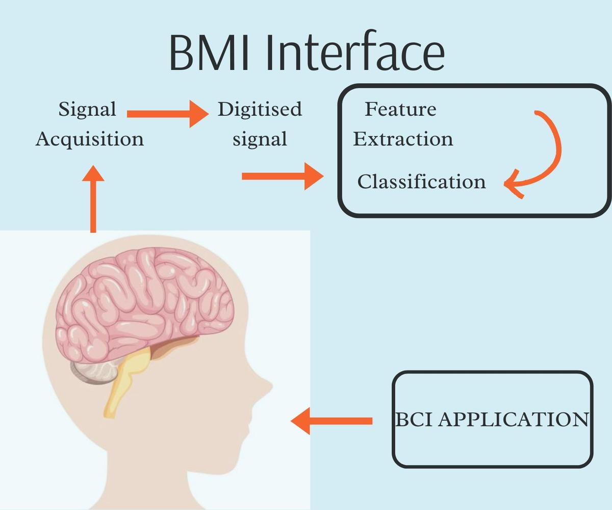 How the BMI Interface works How the BMI Interface works