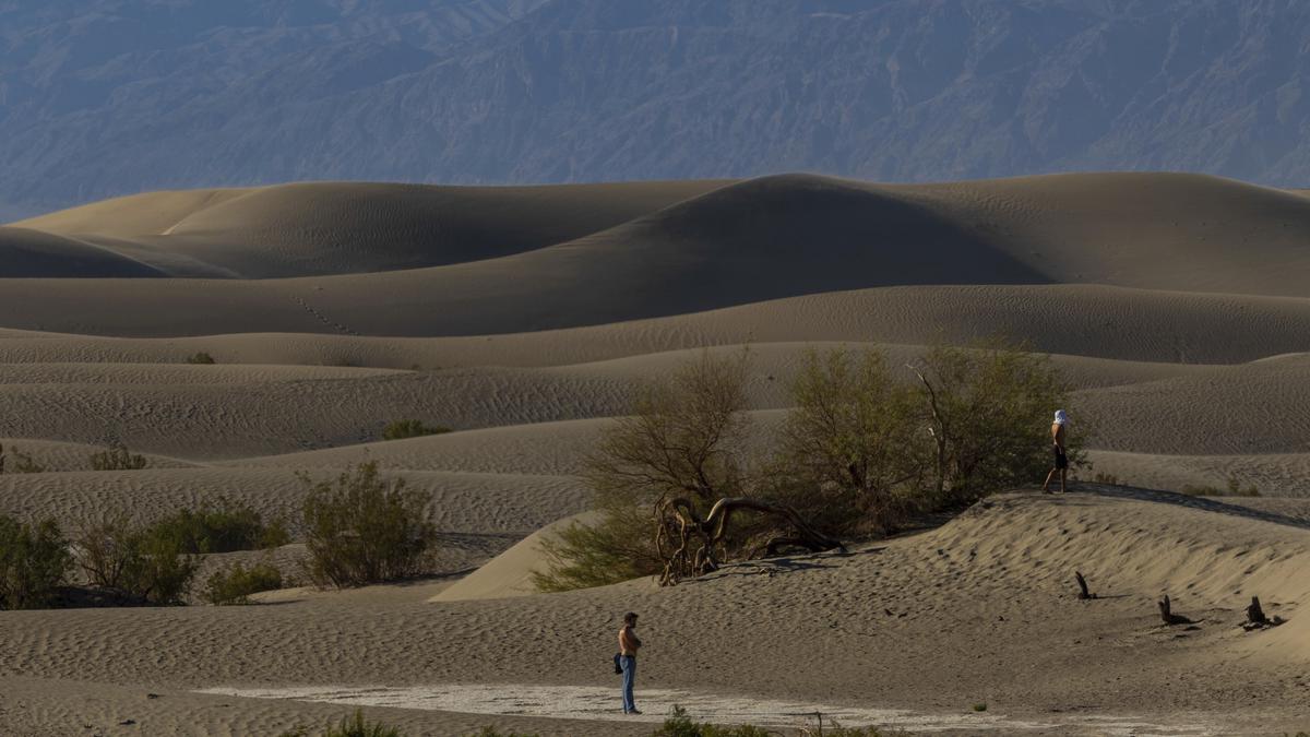 Sci-Five | The Hindu Science Quiz: On sand and sandstorms