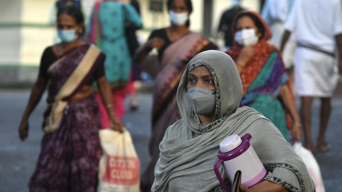 Qu’est-ce qui se cache derrière l’épidémie du virus Nipah en Inde ?  |  Podcast In Focus