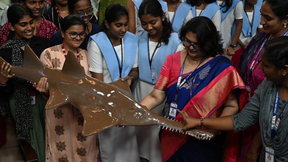 Student-scientist interface highlights need for awareness to conserve sawfishes 