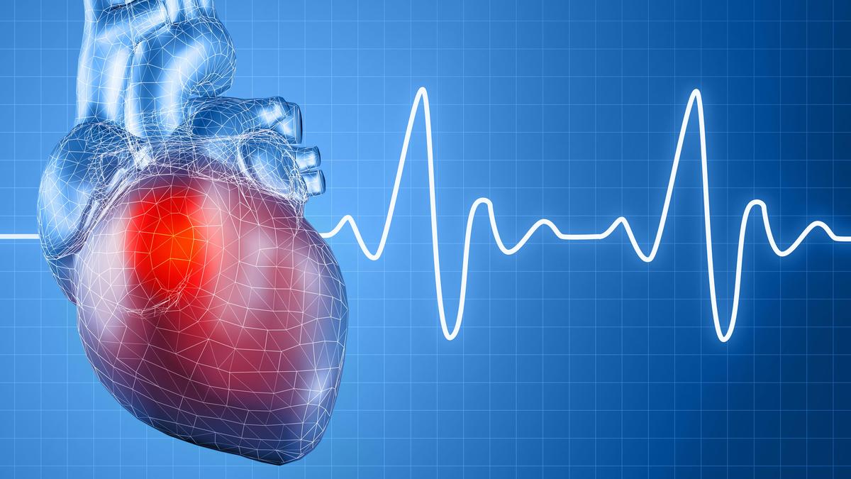 How 3-D imaging is transforming complex heart surgery