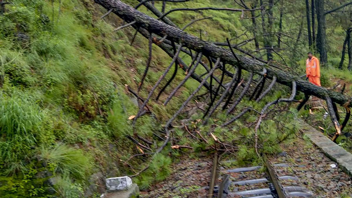 Five killed as heavy rains lash Himachal Pradesh