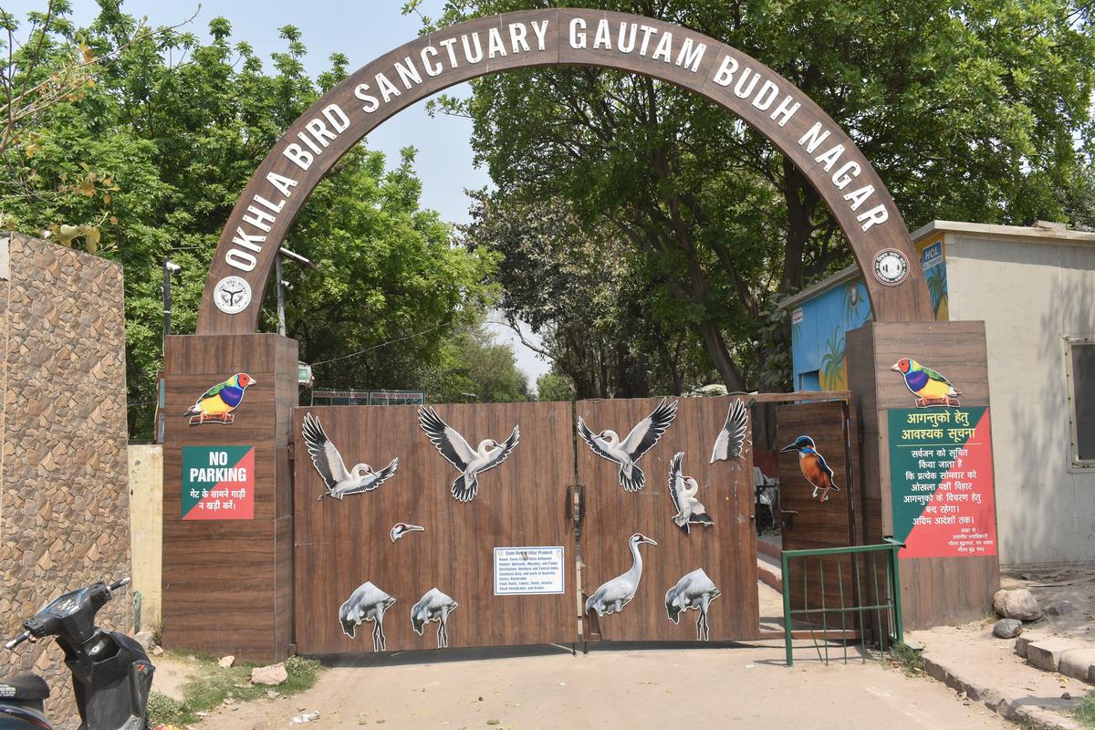 ओखला बिग सैंक्चुअरी का प्रवेश