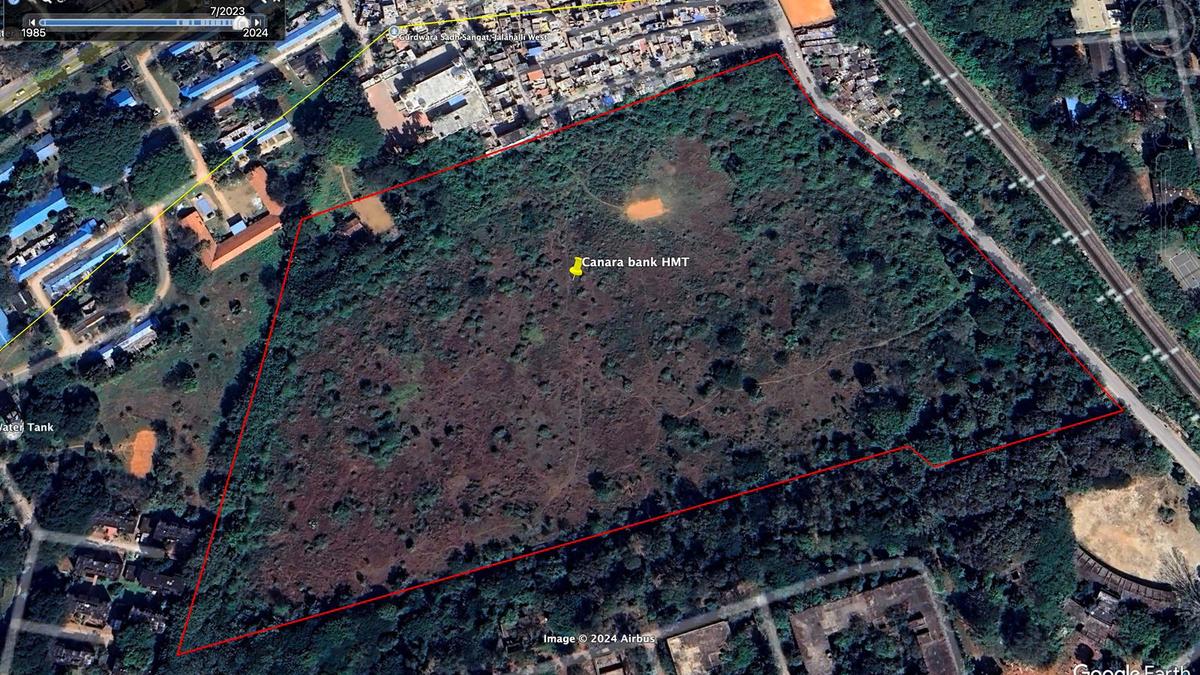 Hundreds of trees on forestland illegally cut for erecting sets for Toxic: Khandre