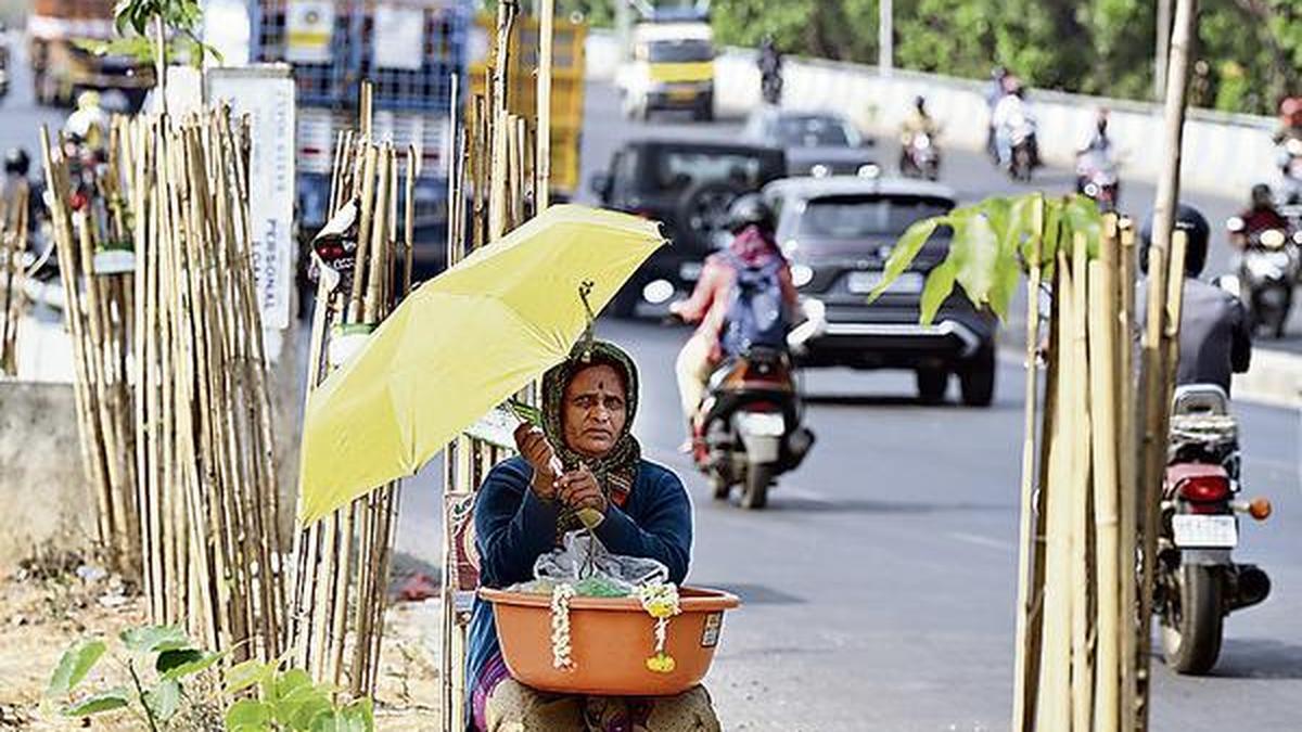 Temperature breaches 40°C in five districts