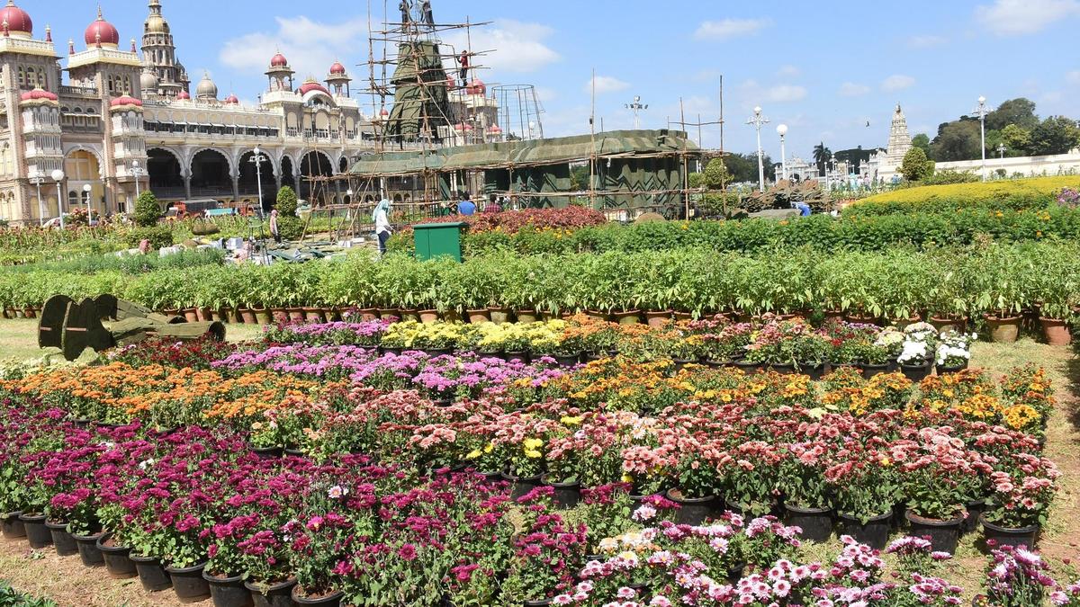 Palace flower show from December 21; green fireworks to usher in New Year at Mysuru Palace
