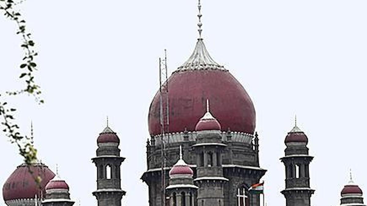 Telangana HC declines interim relief to GITAM university over power disconnection