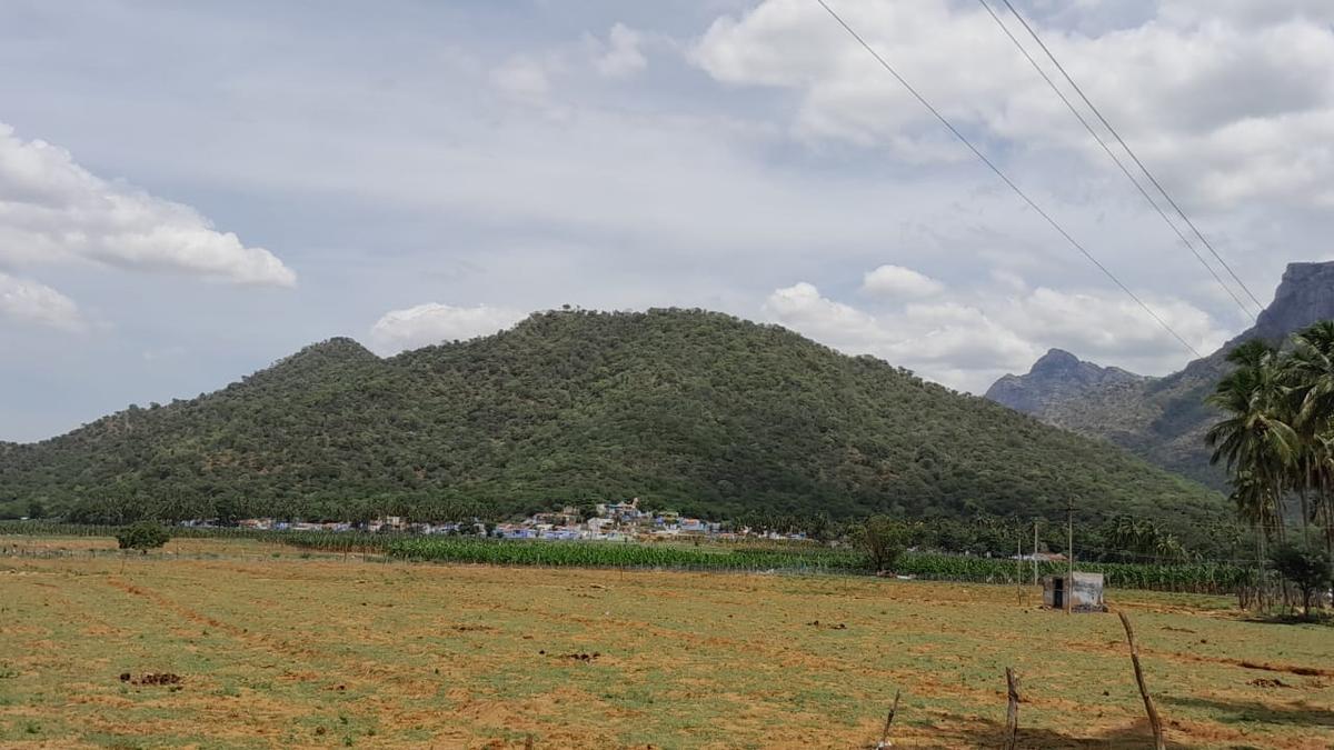 Thengumarahada residents in a limbo as relocation process drags on