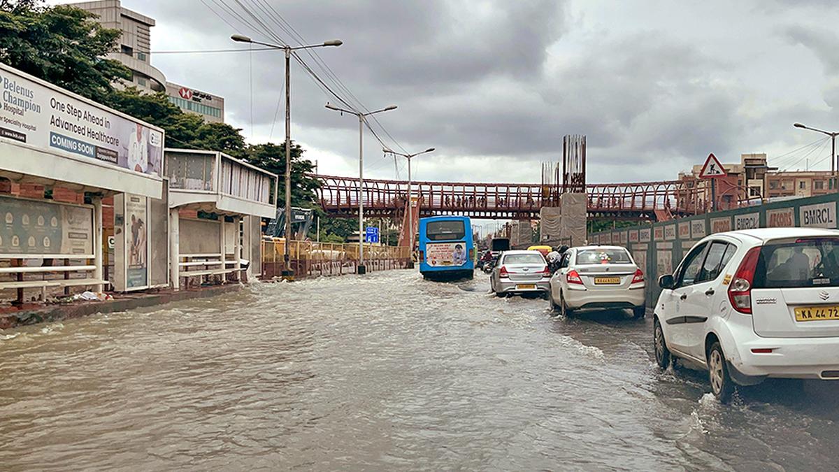 BBMP has no disaster management plan despite calamities claiming lives in Bengaluru