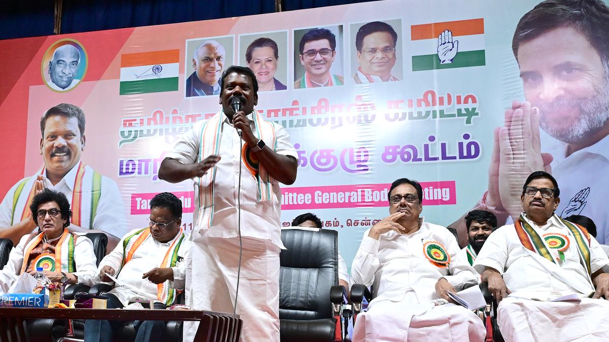 Strengthening the Congress is the need of the hour, says Selvaperunthagai