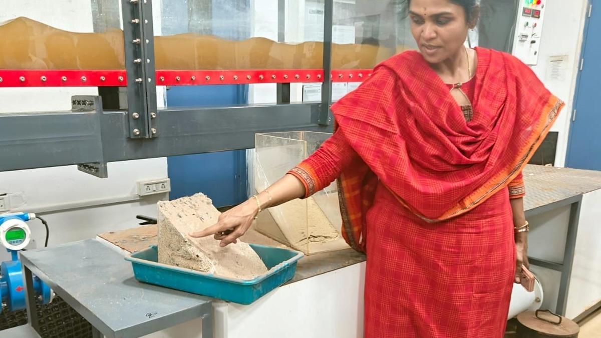 Bioengineering technique can protect coast from erosion, says professor in IIT Indore