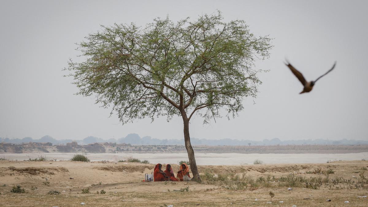 What impact will the unrelenting heat have on India’s future health? | In Focus podcast