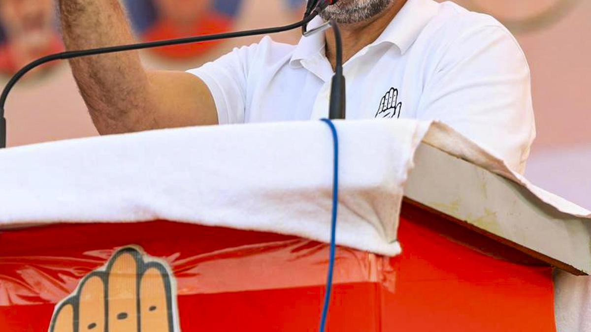 Modi, Shah engage in real ‘jungle raj’ by misuse of ED, CBI: Rahul Gandhi