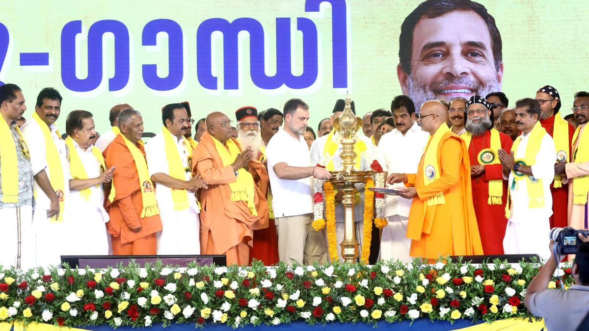 Constitution not merely a legal document, but a book that carries wisdom and values of India: Rahul Gandhi