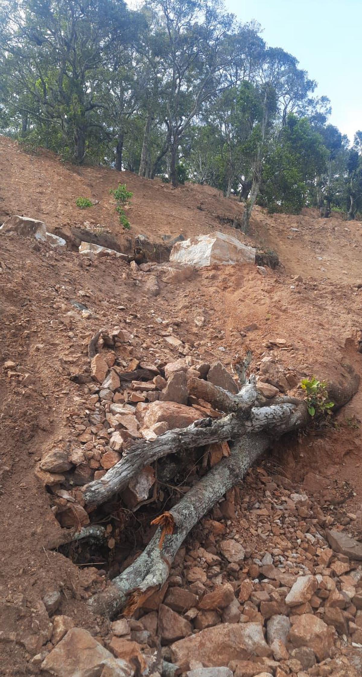 Tribal Association in Erode district wants action against fellers of trees at Bargur Hills