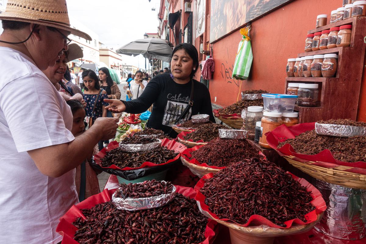 A vendor sells grasshoppers at a market in Oaxaca, Mexico. 