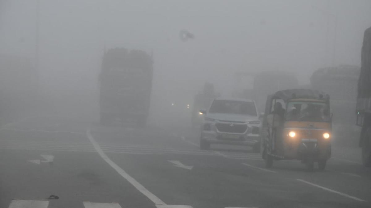 After Cyclone Mandous, thick blanket of fog envelops Anantapur The Hindu