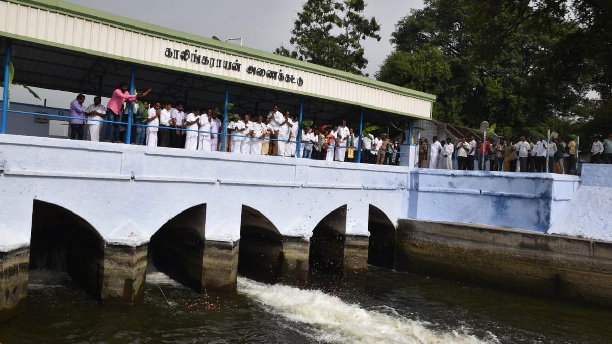 With photo/Water released into Kalingarayan Canal for irrigation