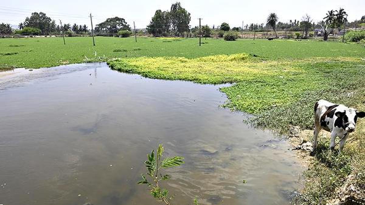 Lokayukta flags massive lake encroachments in Kolar, seeks time-bound action