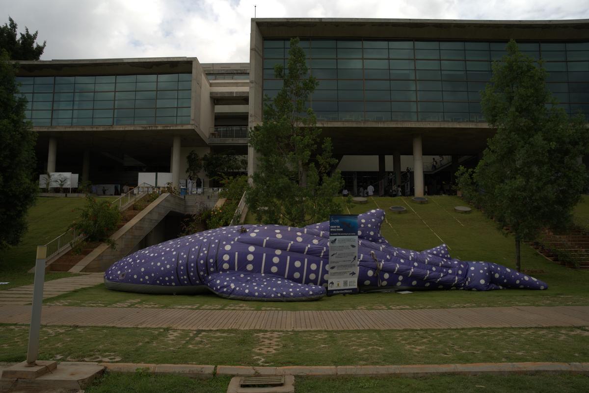 Campus was well decked out and on theme for the event.