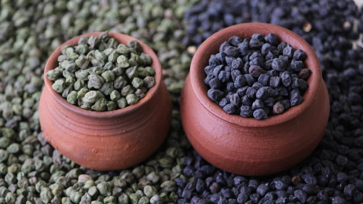 Desi Dal Mela to be held in Mysuru on April 11, 12