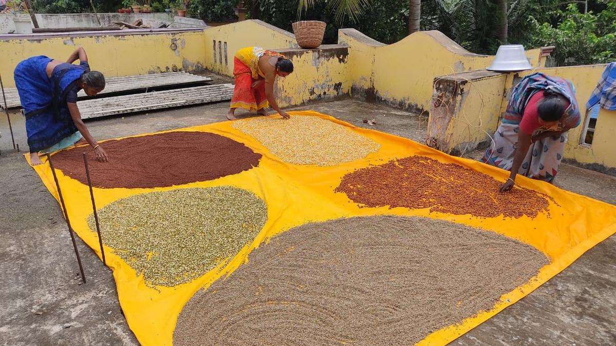 Millet growers and retailers set to make hay while the sun shines The