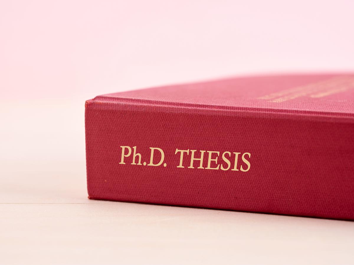 thehindu.com - Harilal Bhaskar - Why the thesis can no longer be the finish line