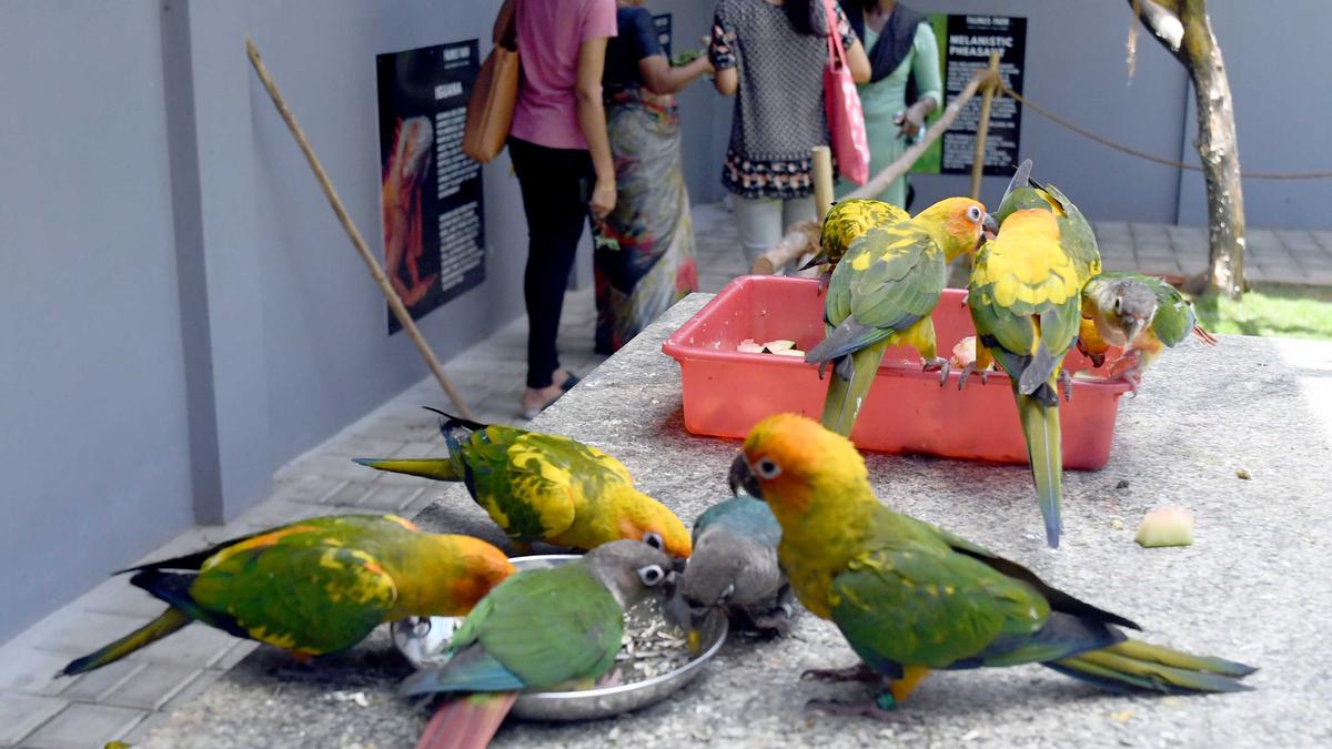 Private aviary, petting zoo on East Coast Road closed for visitors by Forest Department