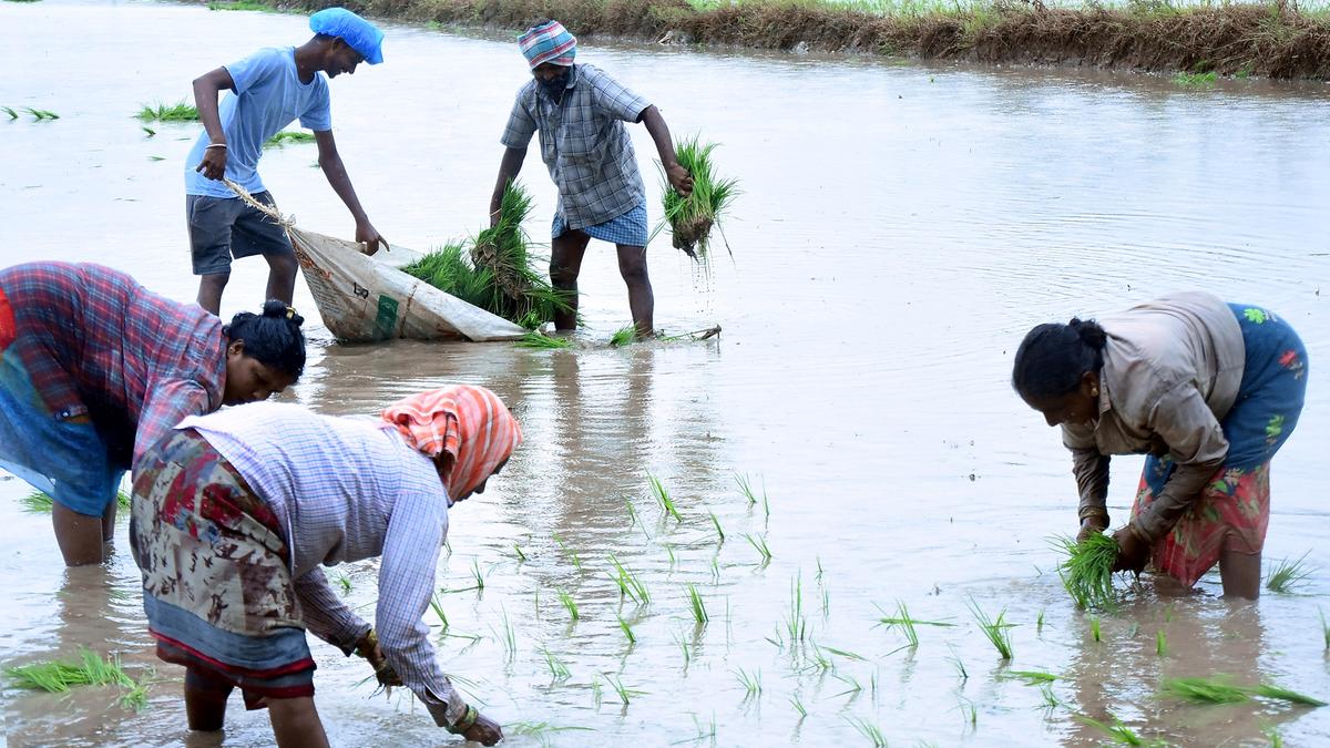 Telangana continues impressive growth with NSDP pegged at ₹14.56 lakh crore in 2024-25