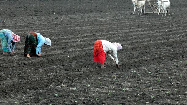 Prakasam farmers a worried lot as monsoon plays truant in early phase