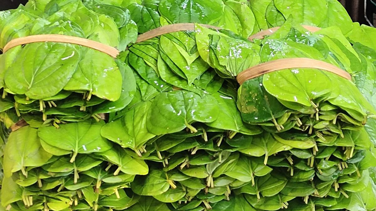 Mann ki Baat: PM Modi refers to export market beckoning Nanjangud Rasabale, Mysuru betel leaves and Indi lime&nbsp;