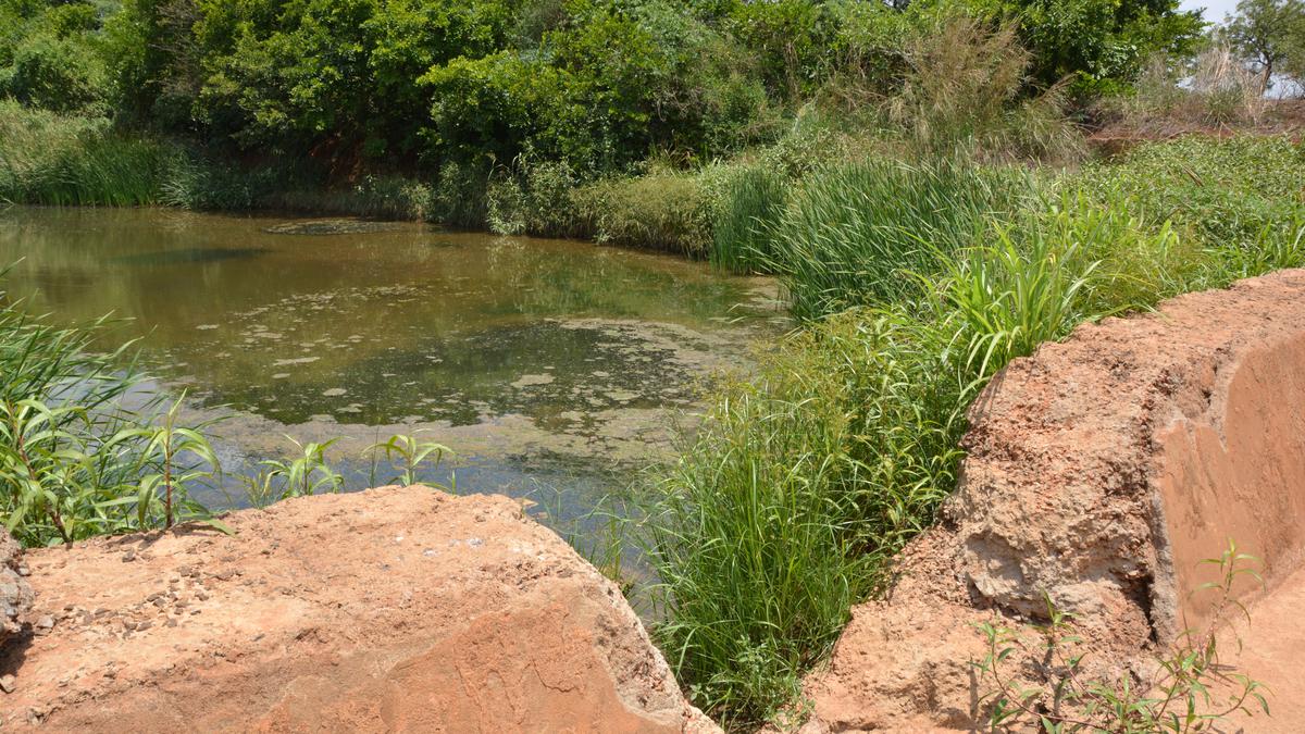 Industrial pollution is poisoning villagers of Humnabad taluk in Karnataka, but KSPCB is mum