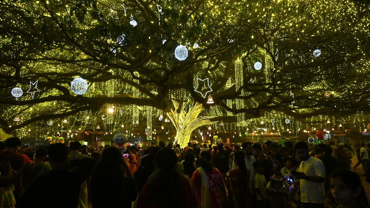 Fort Kochi&rsquo;s viral Christmas tree shines bright with more than 100,000 lights