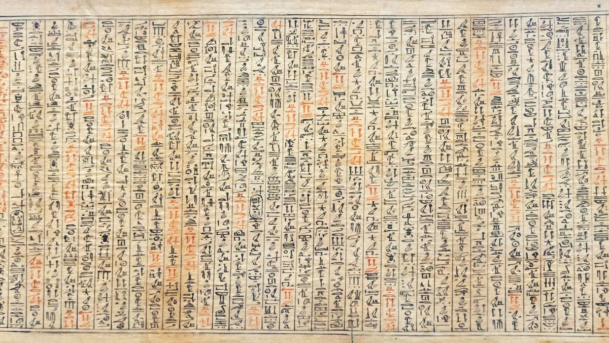 Papyrus and the origin of paper