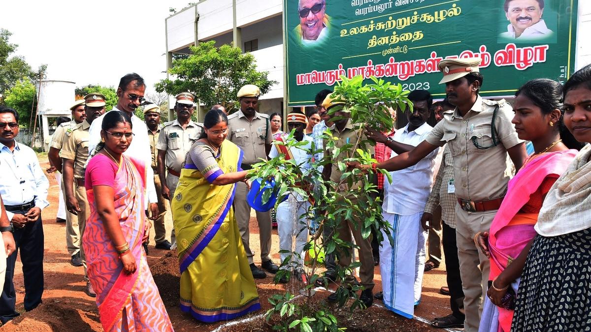 Greening drives mark World Environment Day