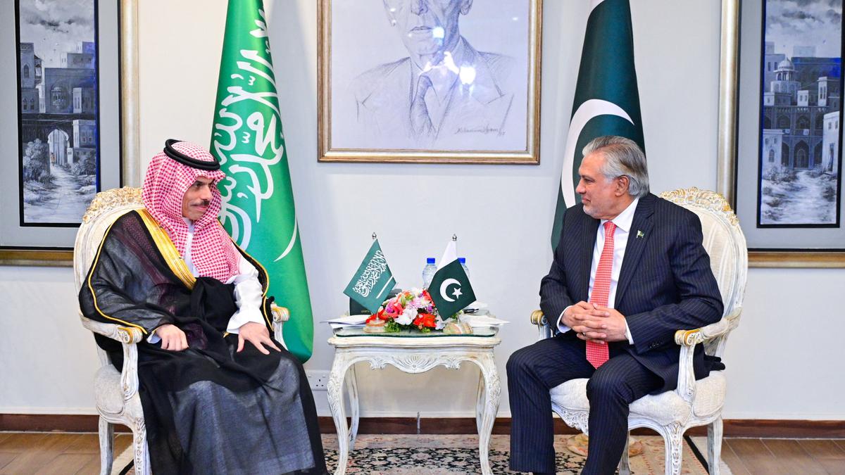 Pakistan and Saudi Arabia call for a cease-fire in Gaza, saying efforts so far are insufficient