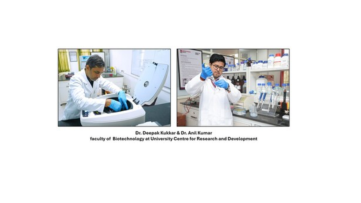 CU Biotech Faculty Win Rs 1.16 Crore in ICMR and ANRF Grants