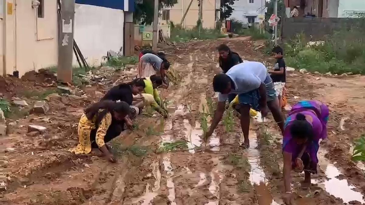 Residents of Pattanam panchayat in Coimbatore plant saplings in slushy roads after rains to protest lack of basic infrastructure